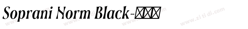 Soprani Norm Black字体转换